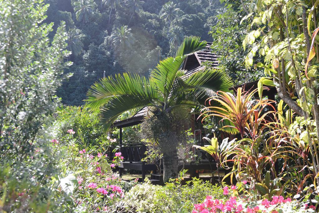 Pension De Famille Hiti Moana Villa Papara Pokoj fotografie